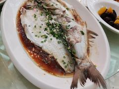 -桐庐海博大酒店中餐厅