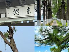 -大隐隐于市私房菜(保和小区店)