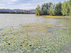 -永定河休闲森林公园