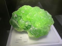 -湖南省地质博物馆