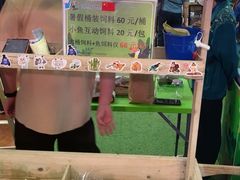-正佳雨林生态植物园