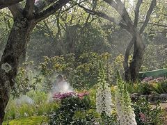 -名花谷生态庄园