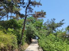 -金龙寺国家森林公园