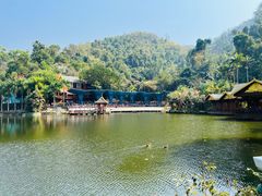 -西双版纳原始森林公园