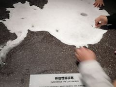 -贝林大翅鲸简餐厅(国家海洋博物馆店)