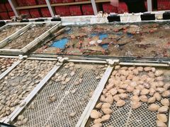 -映像威海·海鲜味道(经区店)