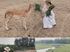 -北京麋鹿生态实验中心