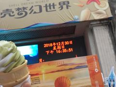 -贝壳梦幻世界