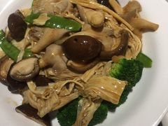 -张记旺角食街(动物园店)