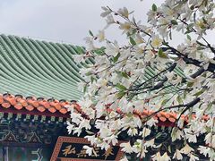 -珠海圆明新园