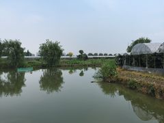 马陆小张葡萄园-马陆小张葡萄园农家乐