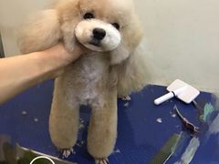 -沐沐家宠物(成寿寺店)