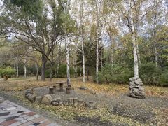 -黑龙江省森林植物园