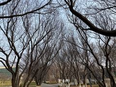 -石家庄市植物园