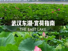 -东湖生态旅游风景区