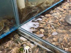 -港畔赶海蒸汽海鲜烧烤自助(仙螺岛店)