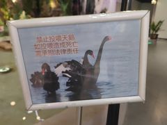 -首创奥特莱斯(北京店)