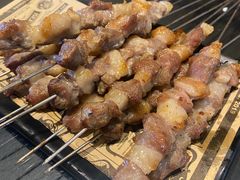 只撒盐的羊肉串-蒙料·手把肉(望京店)