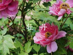-国家植物园