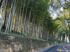 -上海市保健医疗中心