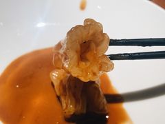 鲍鱼汁玉井花胶-觀芷隐轩