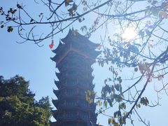 -塔子山公园