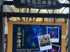 -梭布垭石林景区