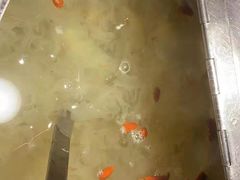 -蝎王府羊蝎子(西直门店)