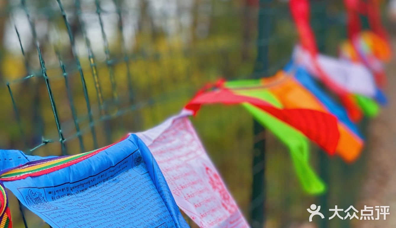 五台山·风景| 你一定是有缘才来到这里💖