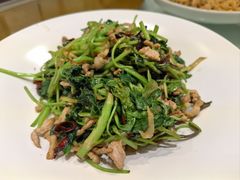 鲜山芹菜炒肉丝-吉林省林业宾馆-餐厅
