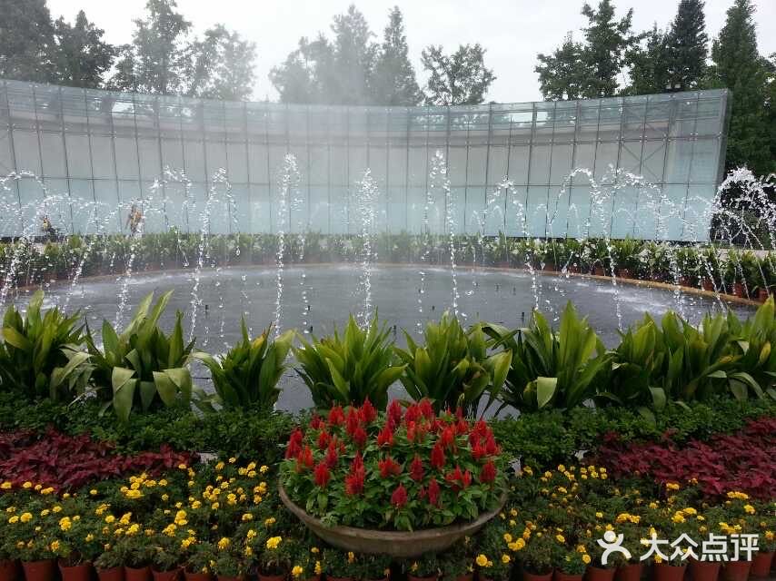无锡橙V有特权