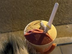 -Dip in Gelato(富民路店)