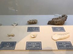 -重庆中国三峡博物馆(重庆博物馆)