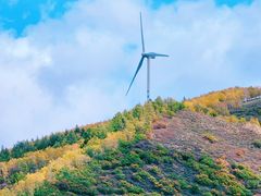 -塞罕坝国家级自然保护区