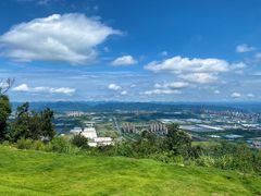 -铁山坪森林公园