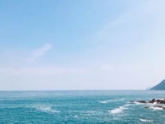-杨梅坑