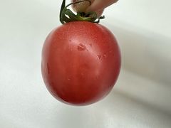 -江记甜品(罗湖店)