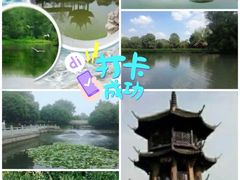 -西溪国家湿地公园