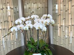 -深圳国际会展中心希尔顿酒店(前海华发冰雪世界店)