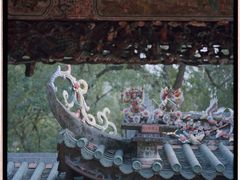 -凤凰山公园-龙王古庙