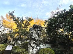 -汇龙潭