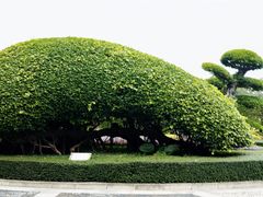 -南宁南湖公园