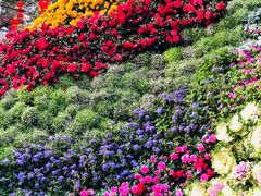 -人民公园(罗湖区)