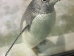 -大连圣亚海洋世界