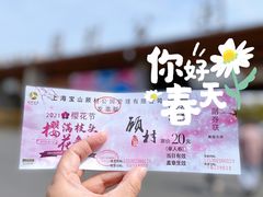 -顾村公园