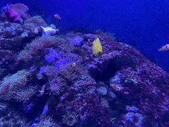 -成都浩海立方海洋公园
