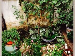 小雅青年旅舍-小雅青年旅舍(平江路店)