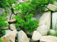 -峄山风景名胜区