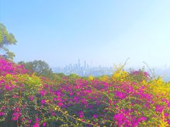 -广州市白云山风景名胜区