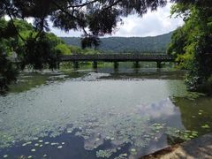 -西湖外事游船(花港观鱼码头)